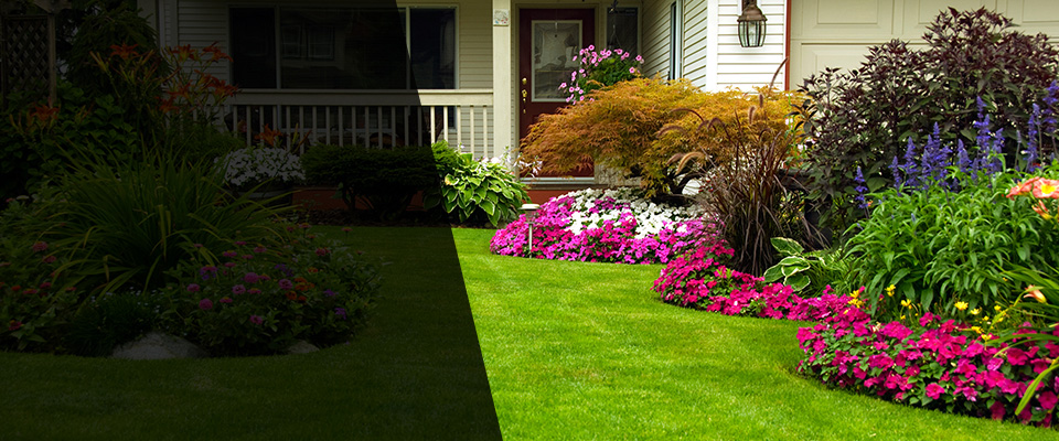 Pana Landscapers