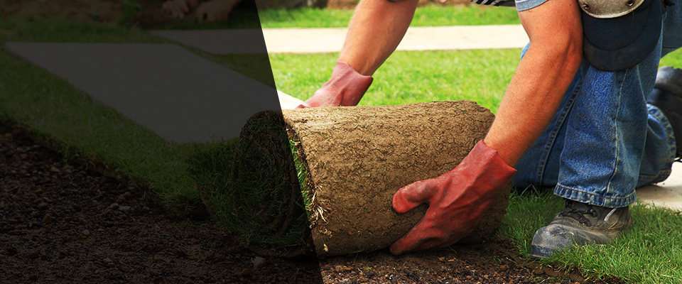 Pana Landscapers